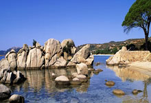 天涯房产观澜神贴分享：天涯论坛上的神龙马车